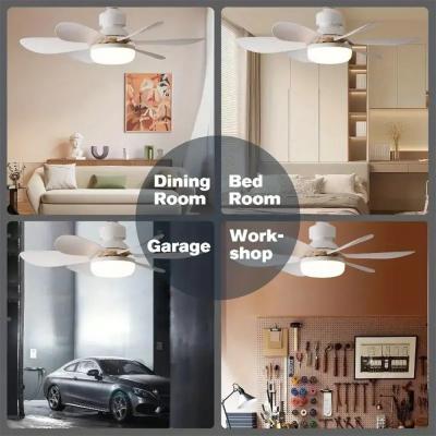 HS-CFL Ceiling Fan Light