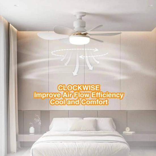 HS-CFL Ceiling Fan Light