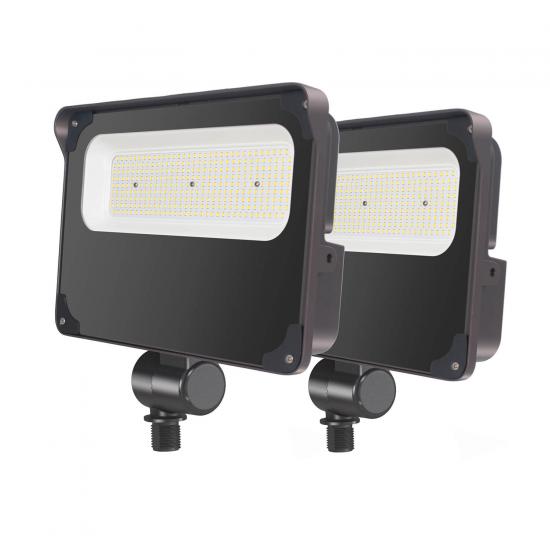 CH LED Flood Light